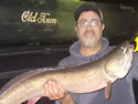 bowfin