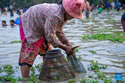 siemreap