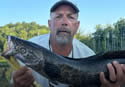 snakeheadcontest